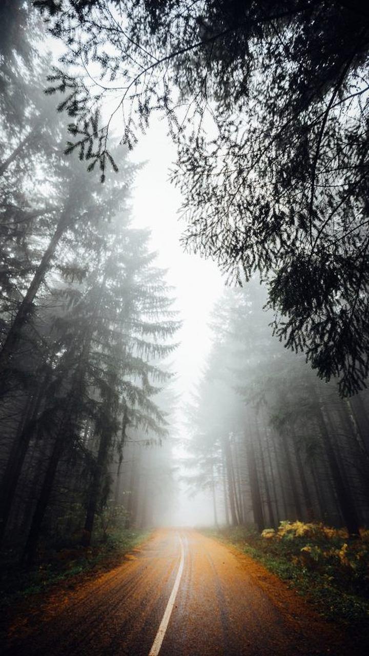 Wydajność Sony Xperia XZ