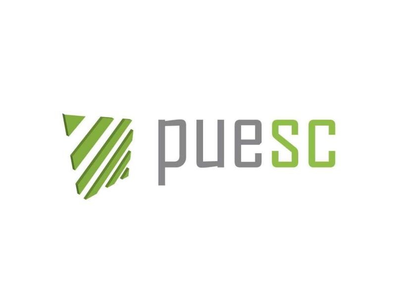 Przewodnik krok po kroku PUESC