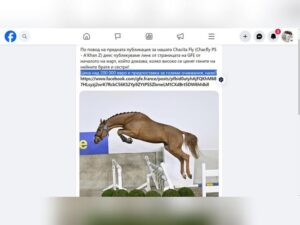 Prosty sposób na publikację: Jak dodać stronę HTML do internetu bez błędów