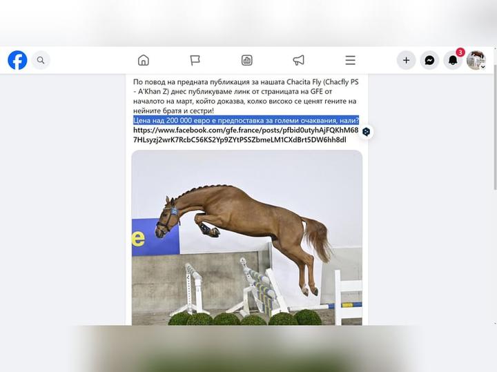 Prosty sposób na publikację: Jak dodać stronę HTML do internetu bez błędów