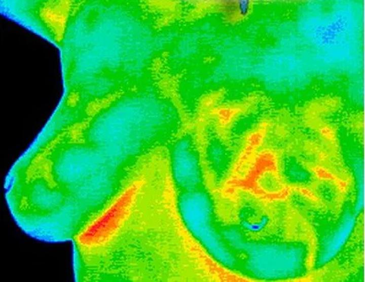Innowacyjna termografia: klucz do sukcesu dla profesjonalistów w nowoczesnych technologiach